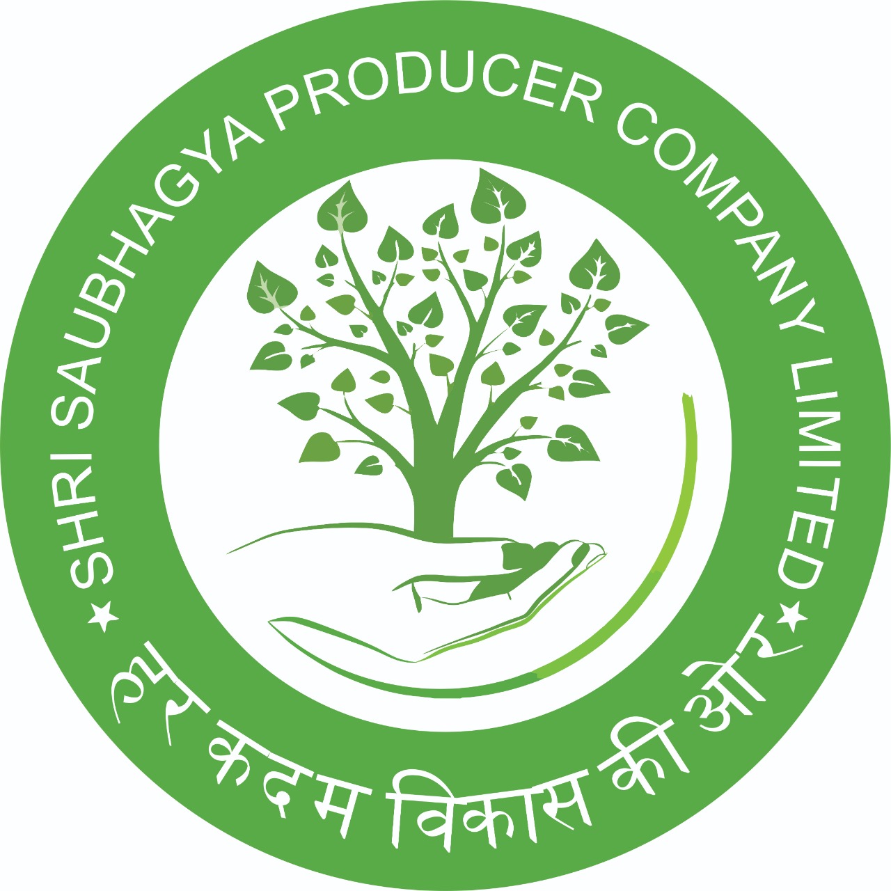 SHRI SAUBHAGYA PRODUCER COMPANY LIMITED